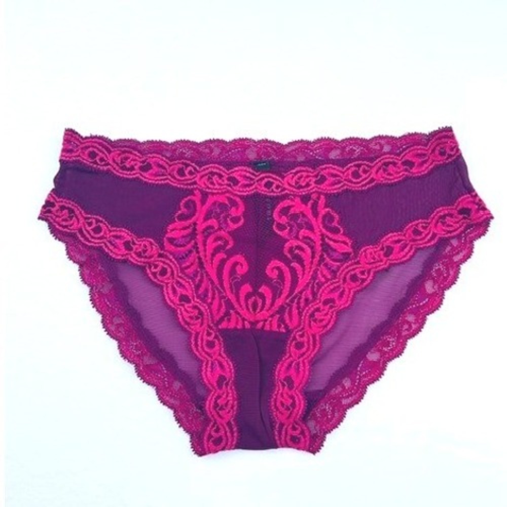 Natori Feathers Lace Mesh Hipster Briefs Burgandy/Purple Fuchsia Medium